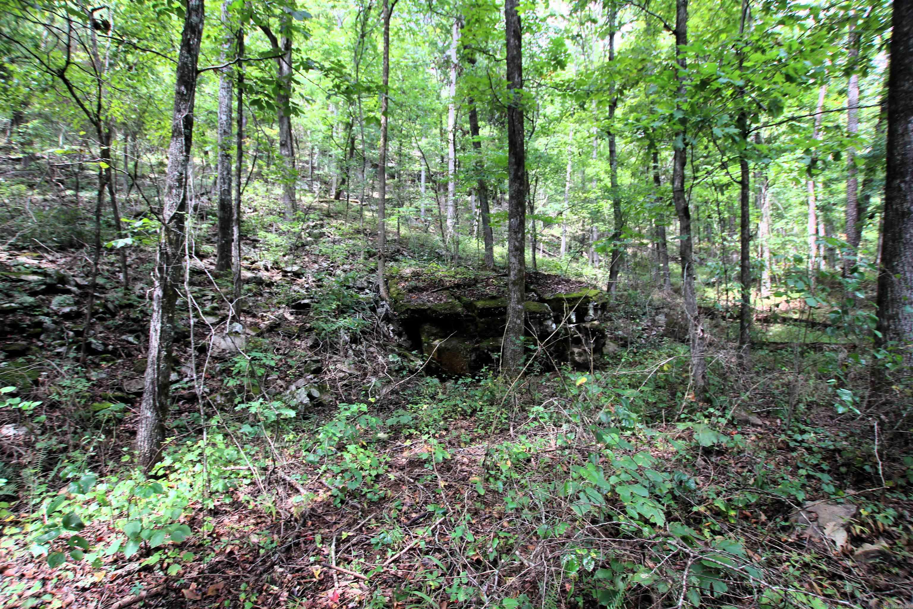 5463 Lo Gap  Clinton, AR