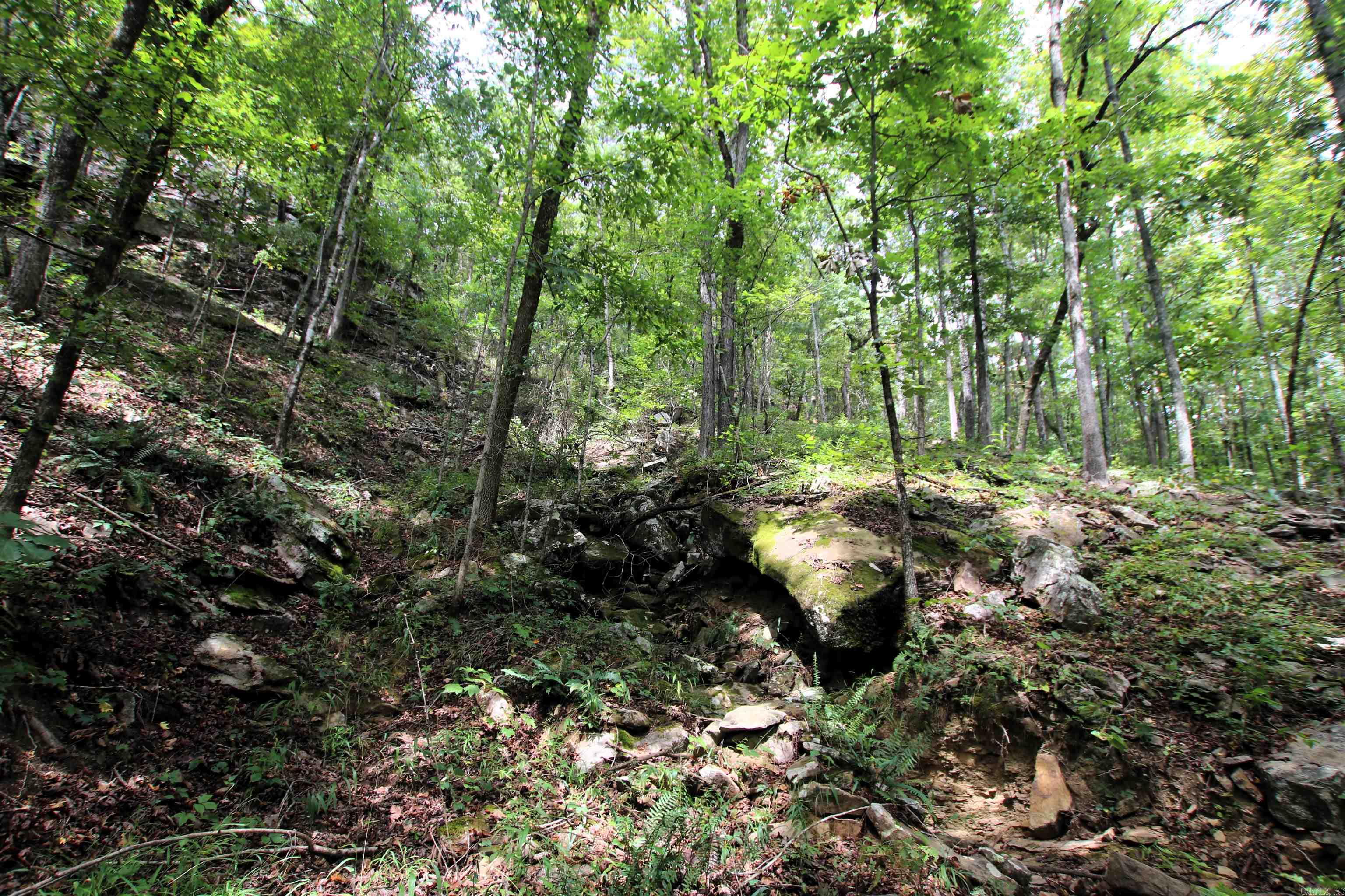 5463 Lo Gap  Clinton, AR