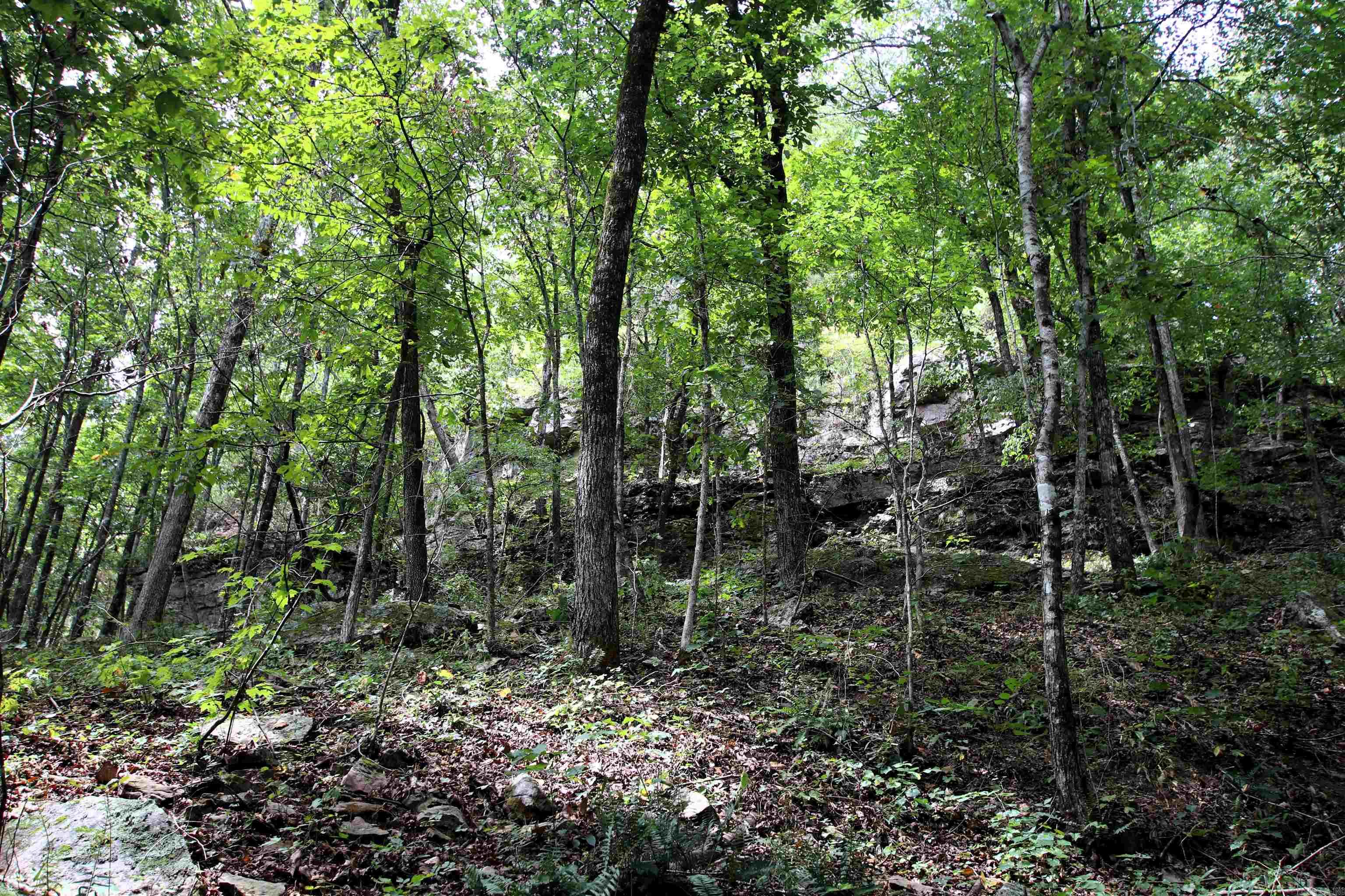 5463 Lo Gap  Clinton, AR
