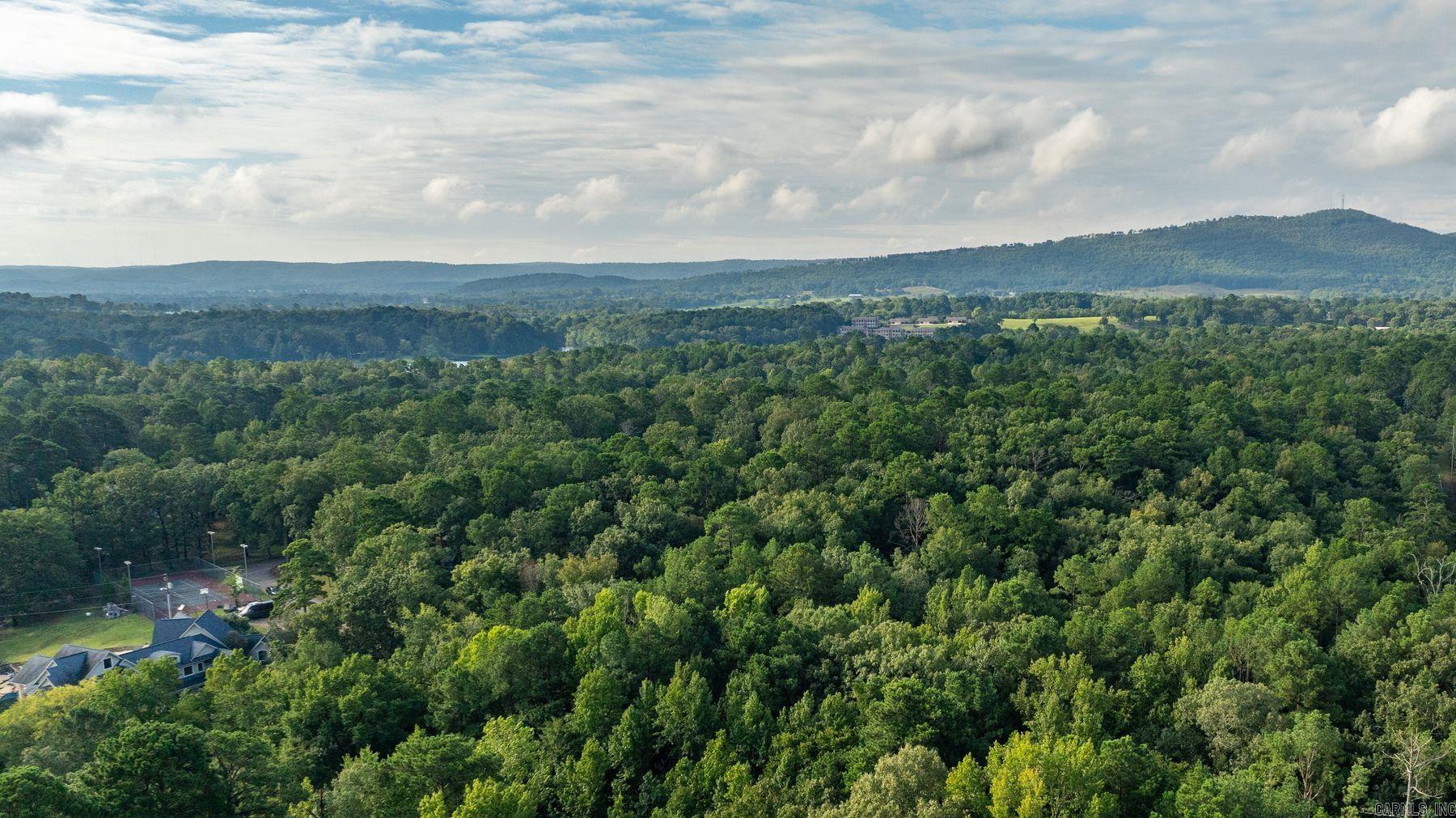 131 Tanglewood  Hot Springs, AR