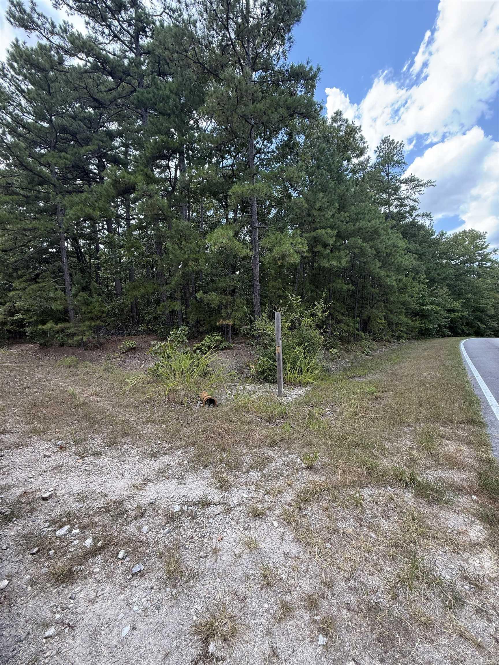 45 Zaragoza  Hot Springs Village, AR