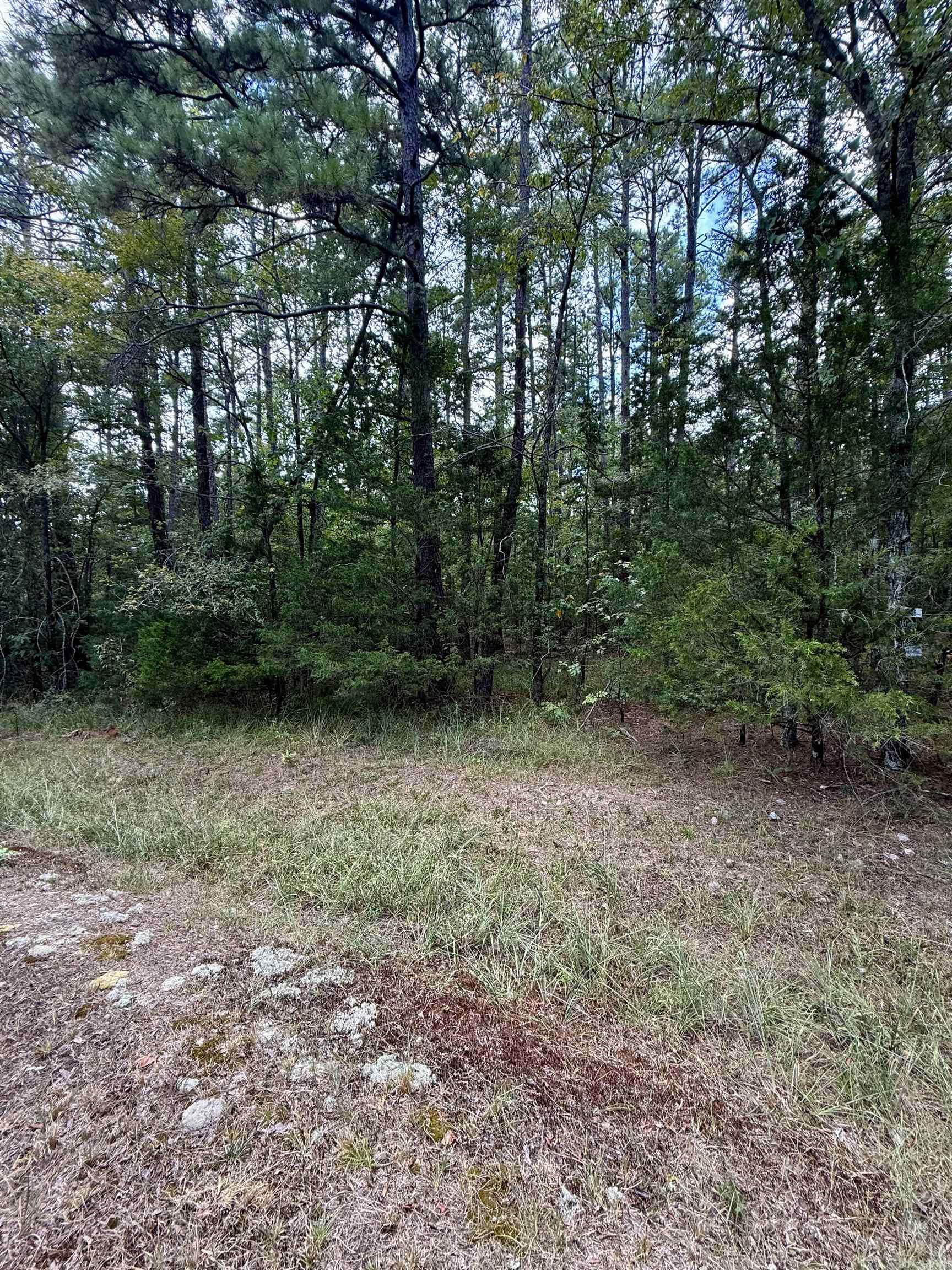 23 Hoya  Hot Springs Village, AR
