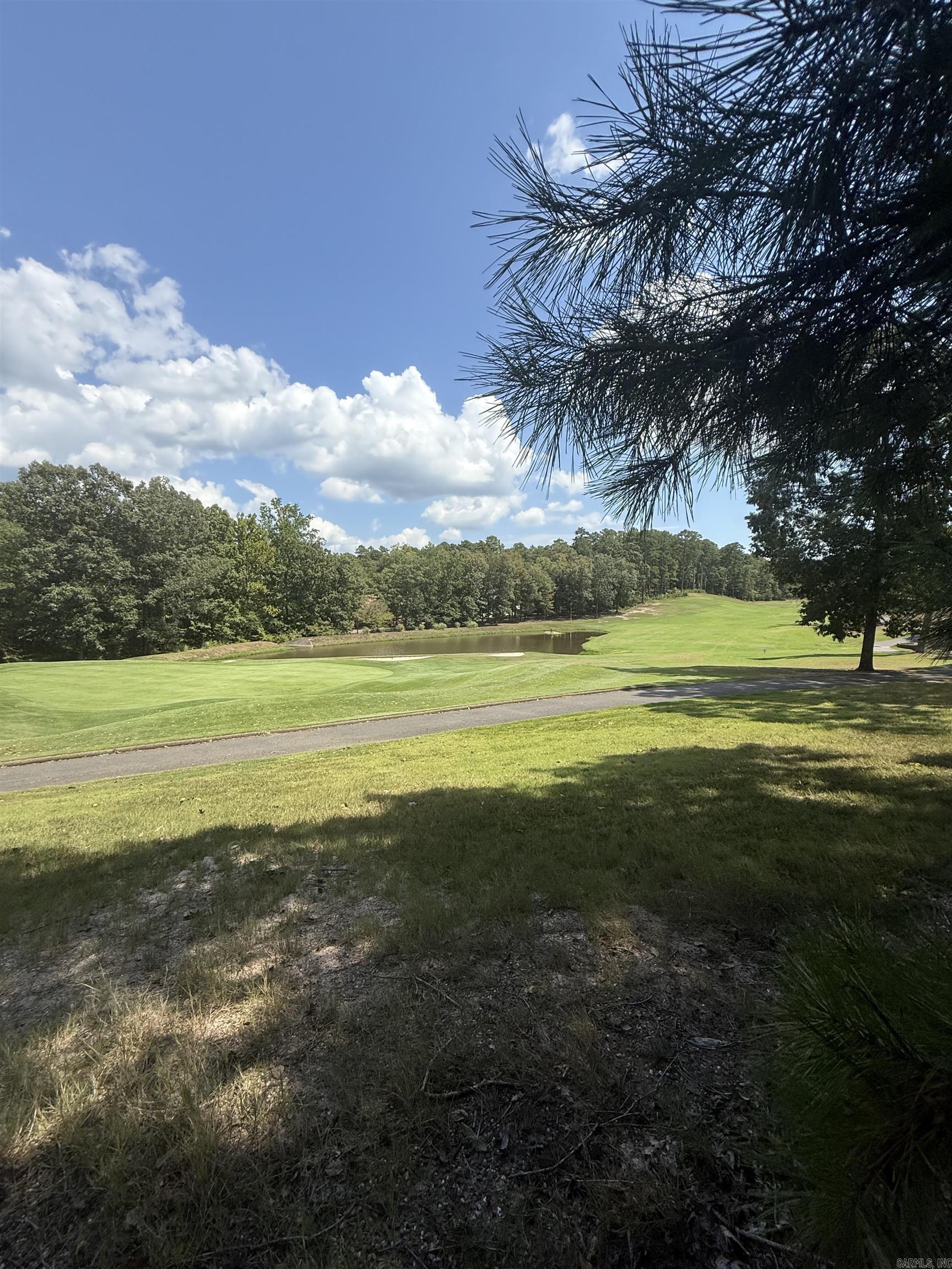 54 Villacarriedo  Hot Springs Village, AR