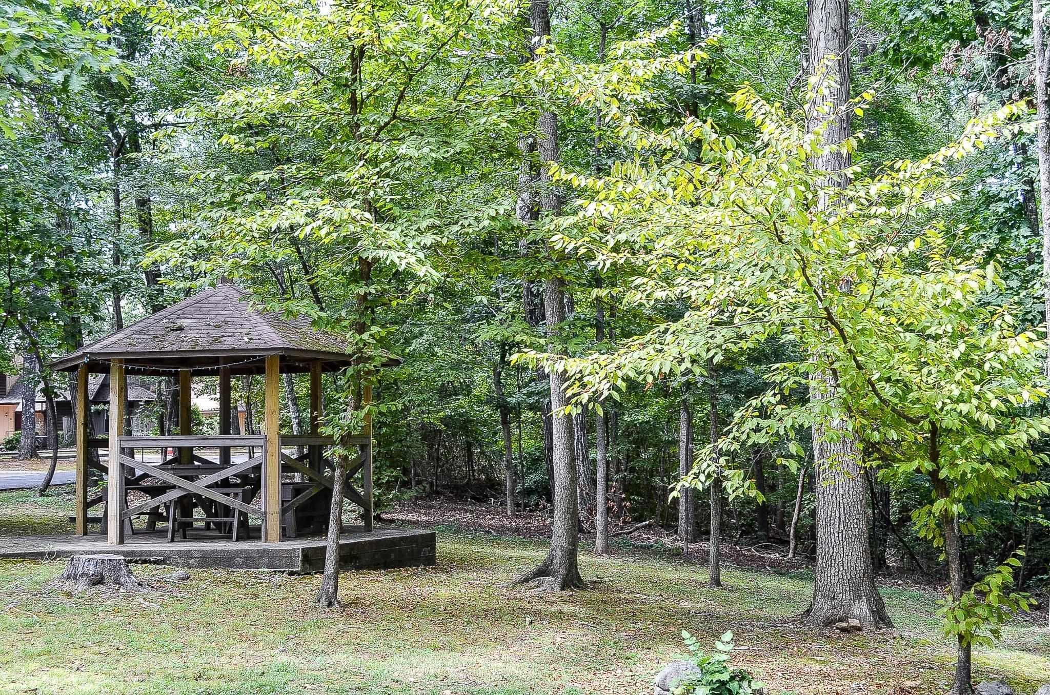 44 Esmeralda  Hot Springs Village, AR