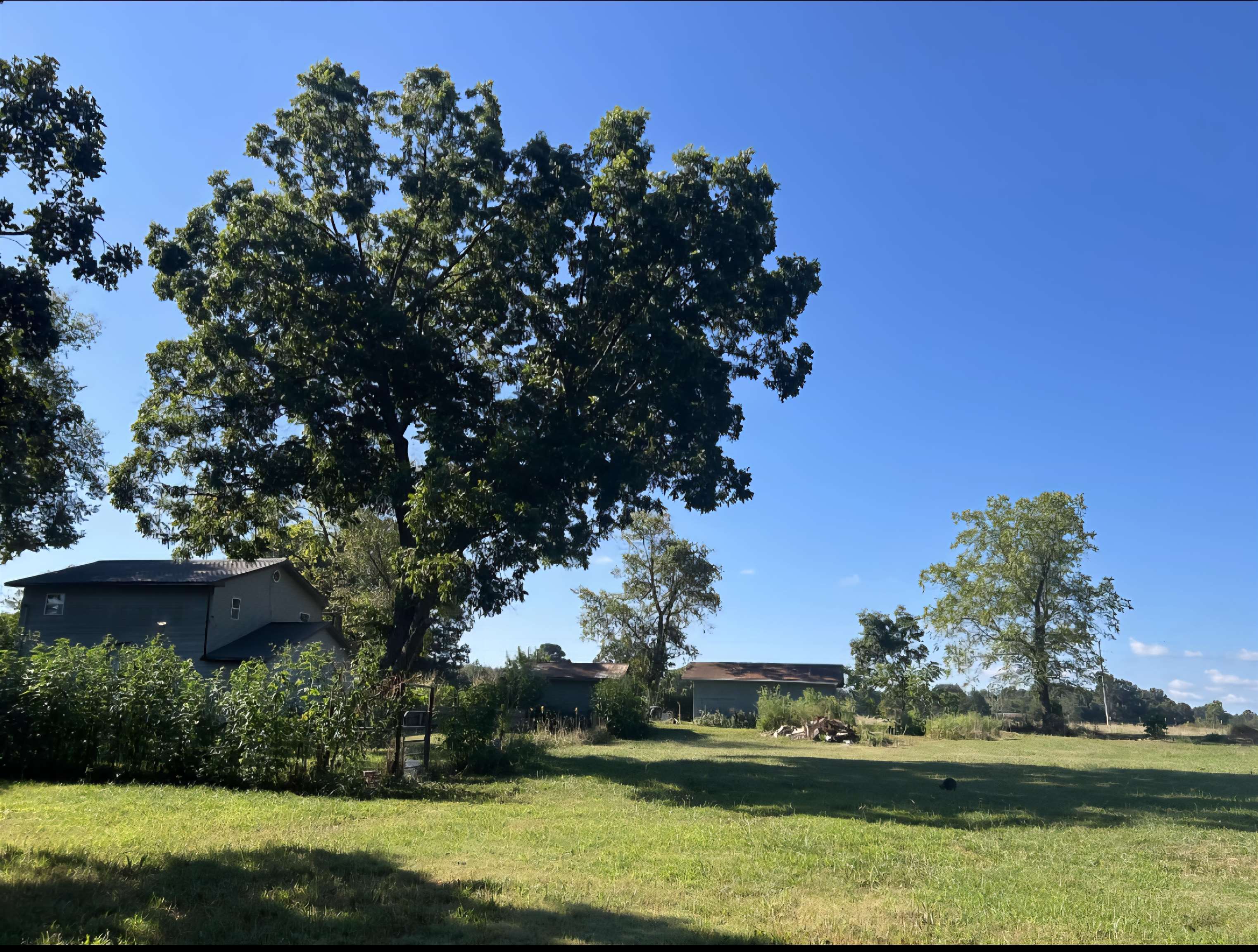 690 Autumnwood  Ash Flat, AR