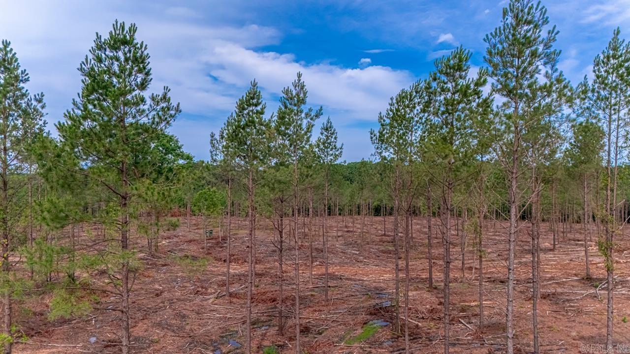 LOT #1 Grant 55  Hensley, AR