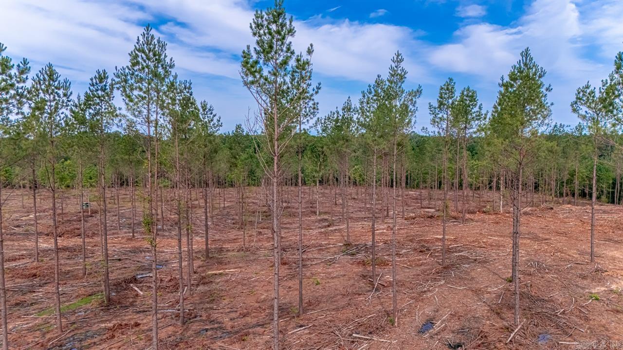 LOT #1 Grant 55  Hensley, AR