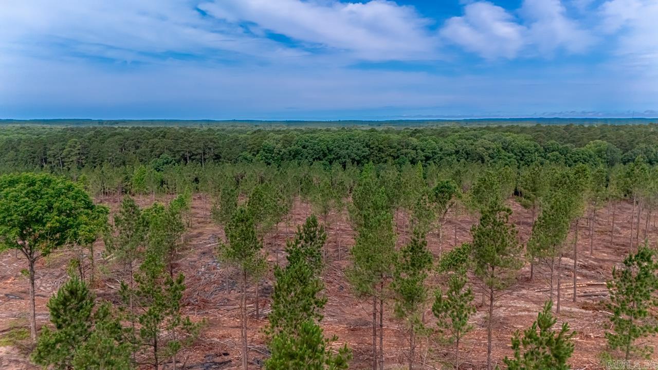 LOT #2 Grant 55  Hensley, AR