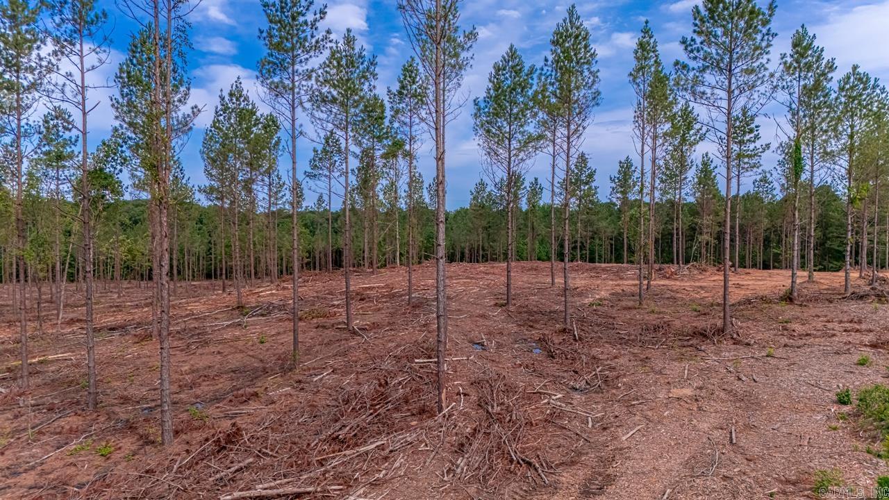 LOT #3 Grant 55  Hensley, AR
