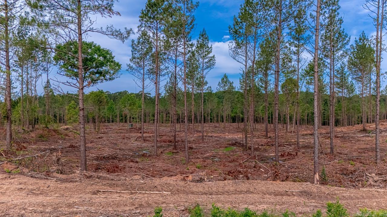 LOT #4 Grant 55  Hensley, AR