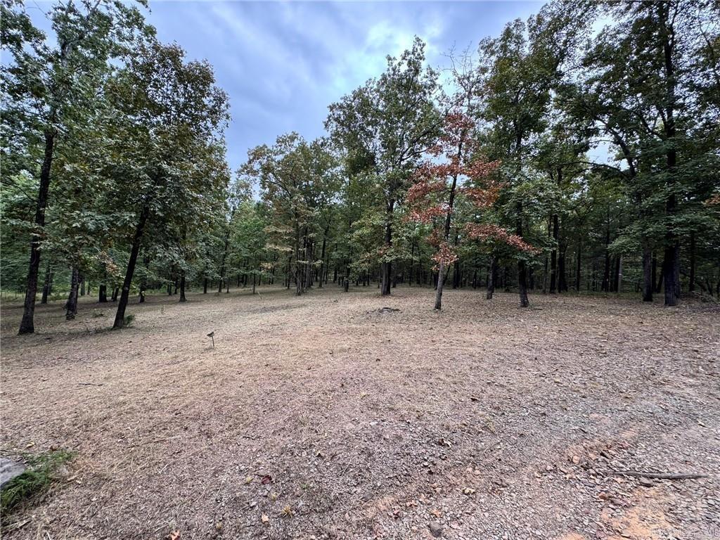 2166 County Road 3091  Clarksville, AR