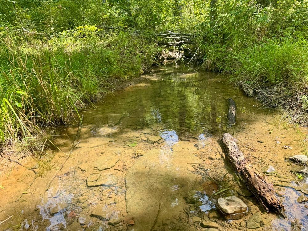 000 Shady Grove  Shirley, AR