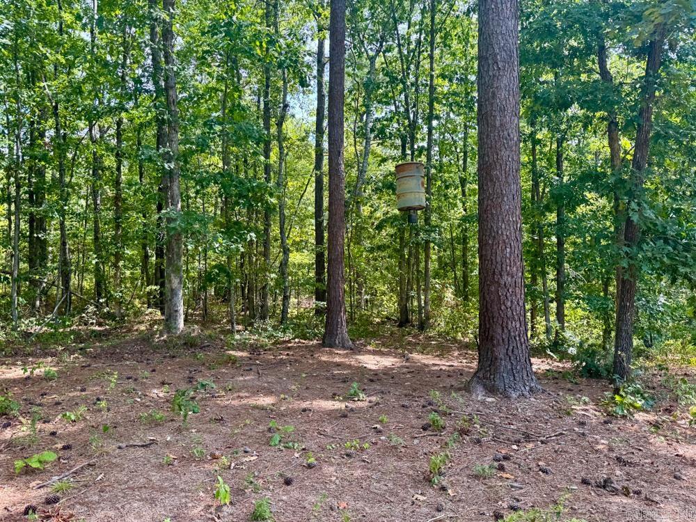 000 Shady Grove  Shirley, AR