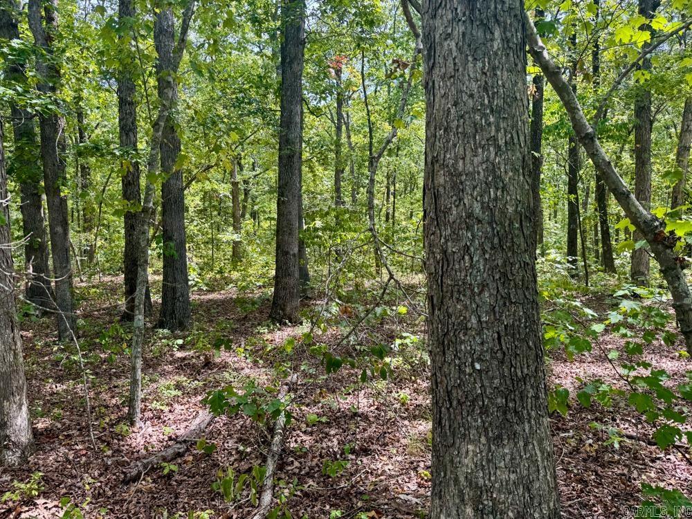 000 Shady Grove  Shirley, AR