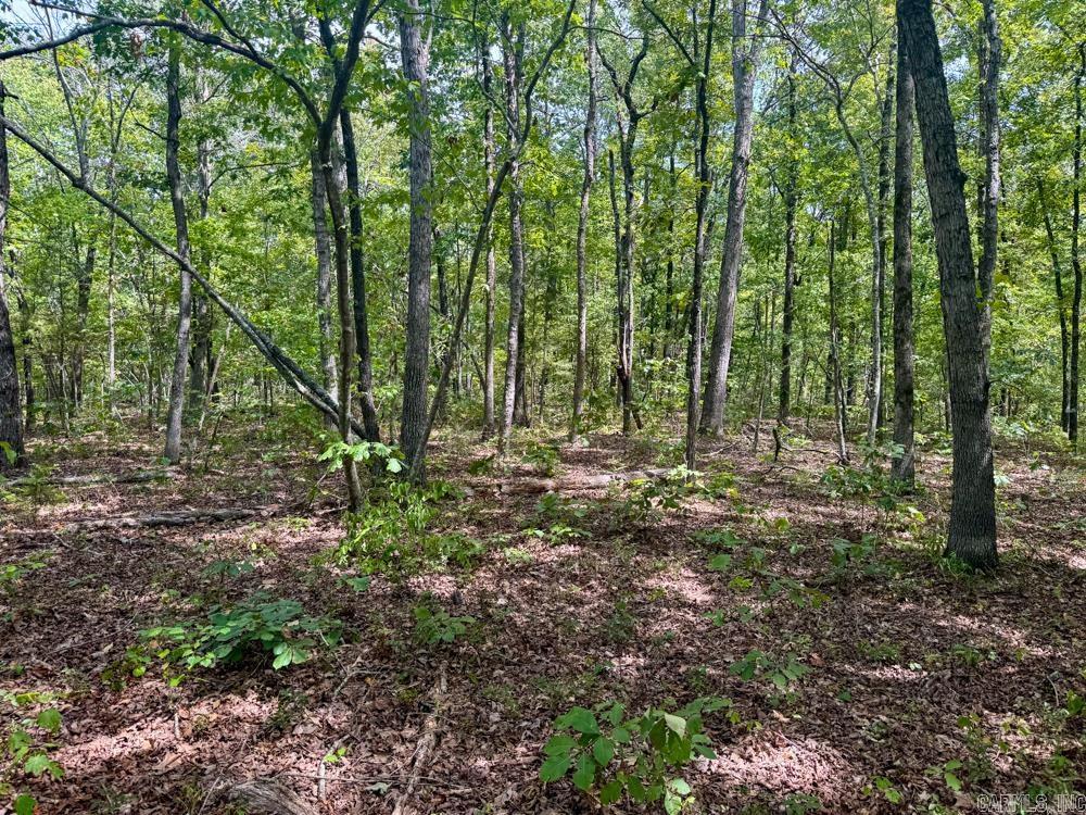 000 Shady Grove  Shirley, AR