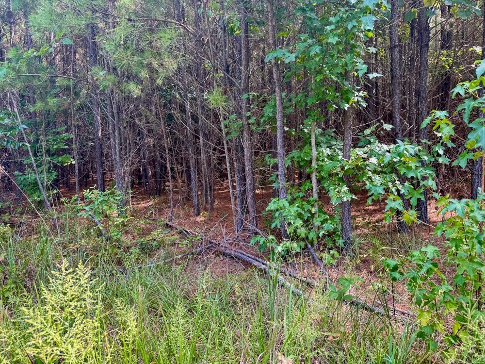 000 Shady Grove  Shirley, AR