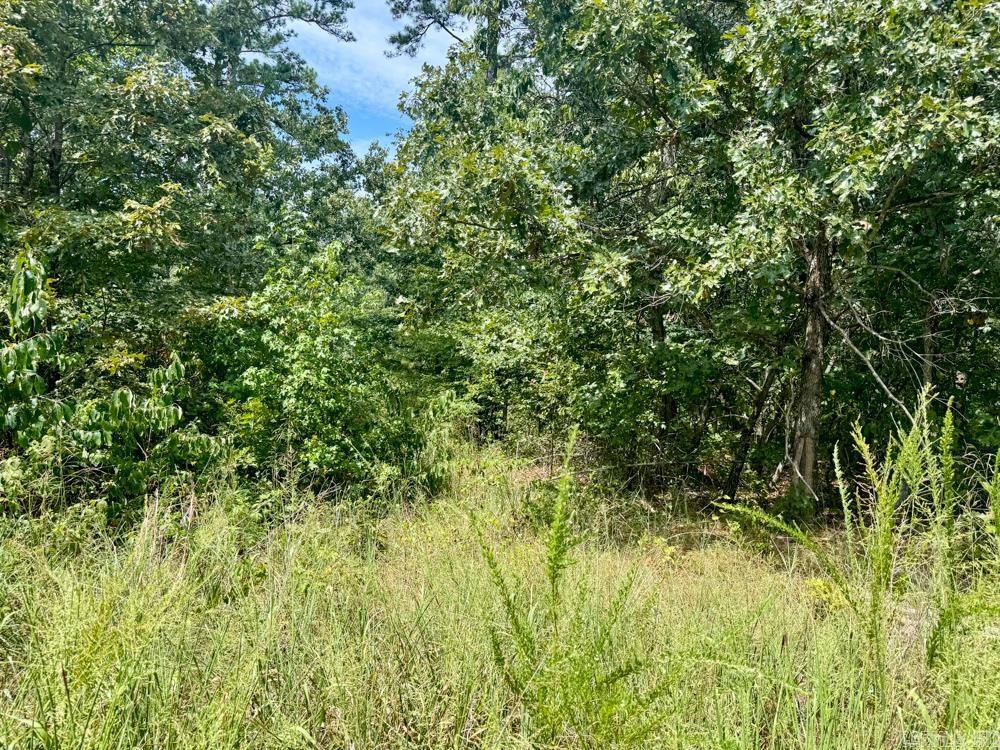 000 Shady Grove  Shirley, AR
