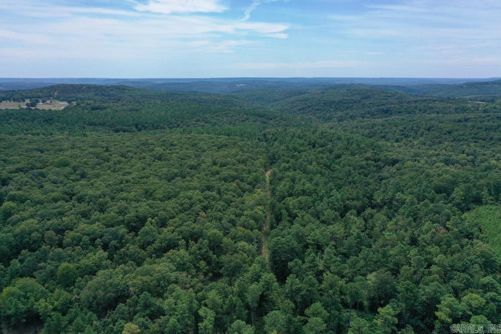 329 Foxtail  Shirley, AR