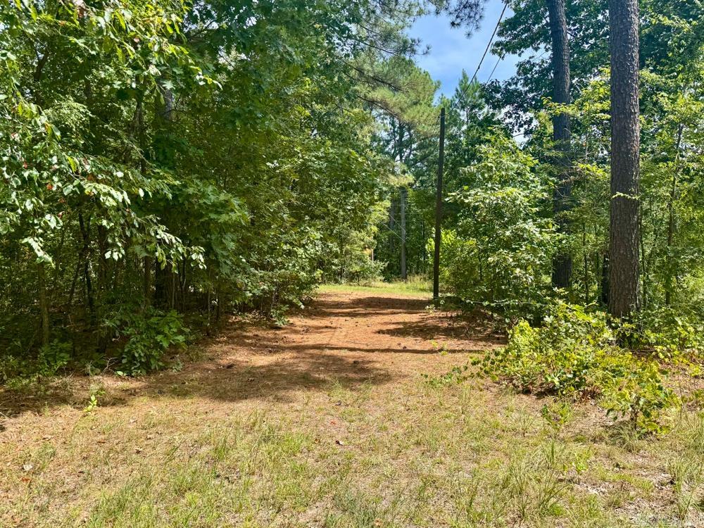 329 Foxtail  Shirley, AR