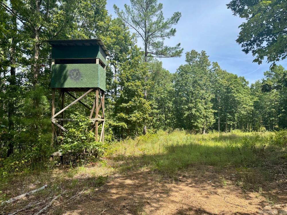 329 Foxtail  Shirley, AR