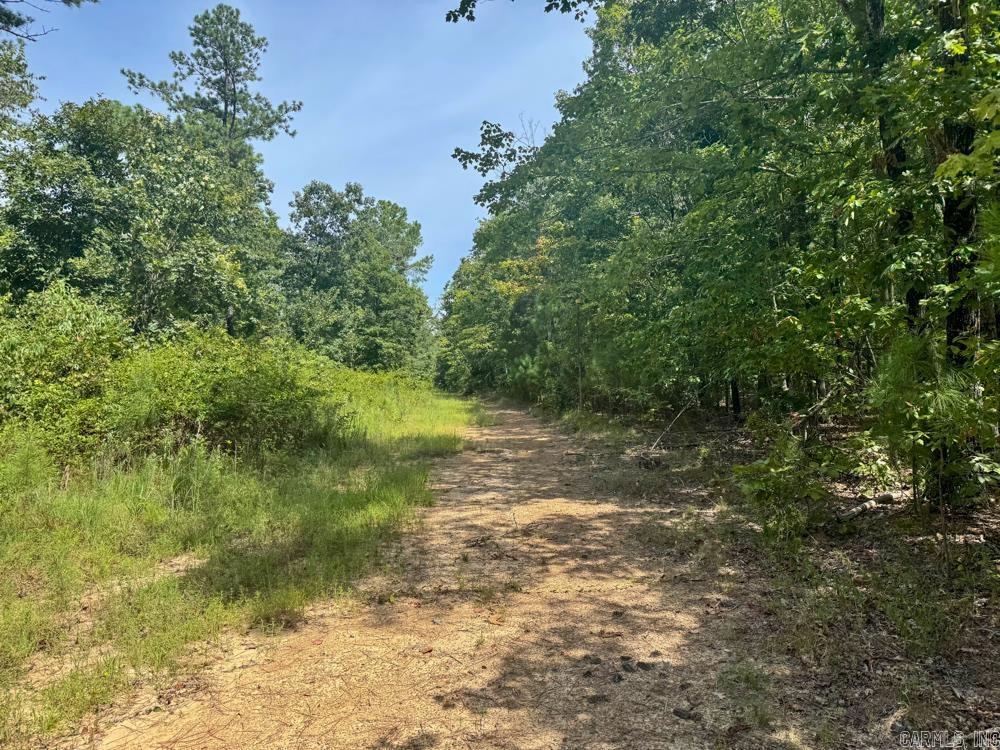 329 Foxtail  Shirley, AR