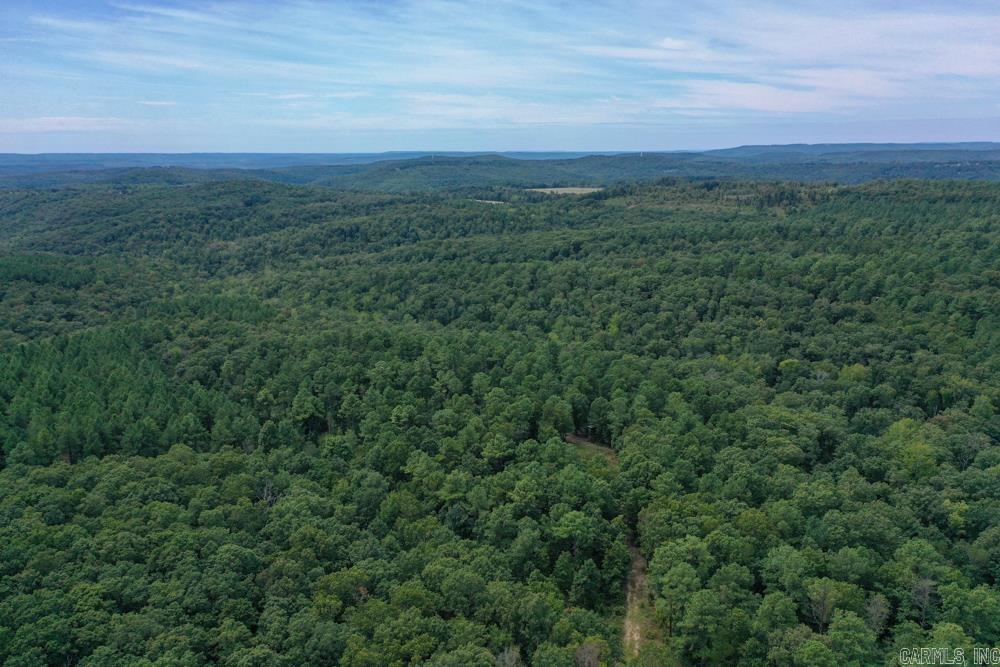329 Foxtail  Shirley, AR