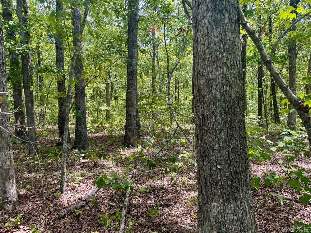 329 Foxtail  Shirley, AR