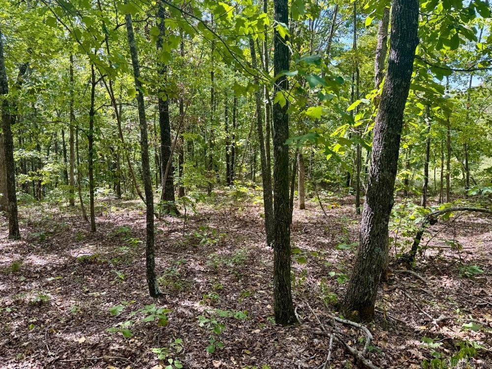 329 Foxtail  Shirley, AR