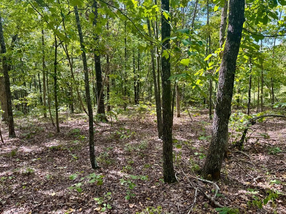 329 Foxtail  Shirley, AR