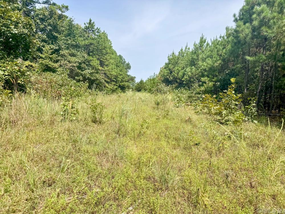 329 Foxtail  Shirley, AR