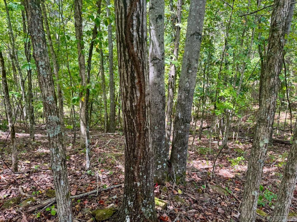 329 Foxtail  Shirley, AR