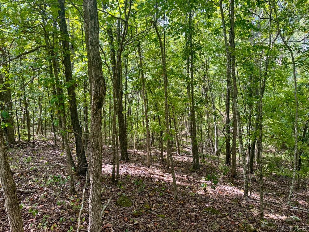 329 Foxtail  Shirley, AR