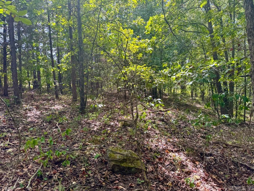 329 Foxtail  Shirley, AR