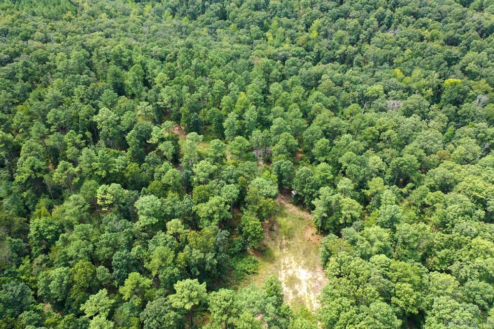 329 Foxtail  Shirley, AR