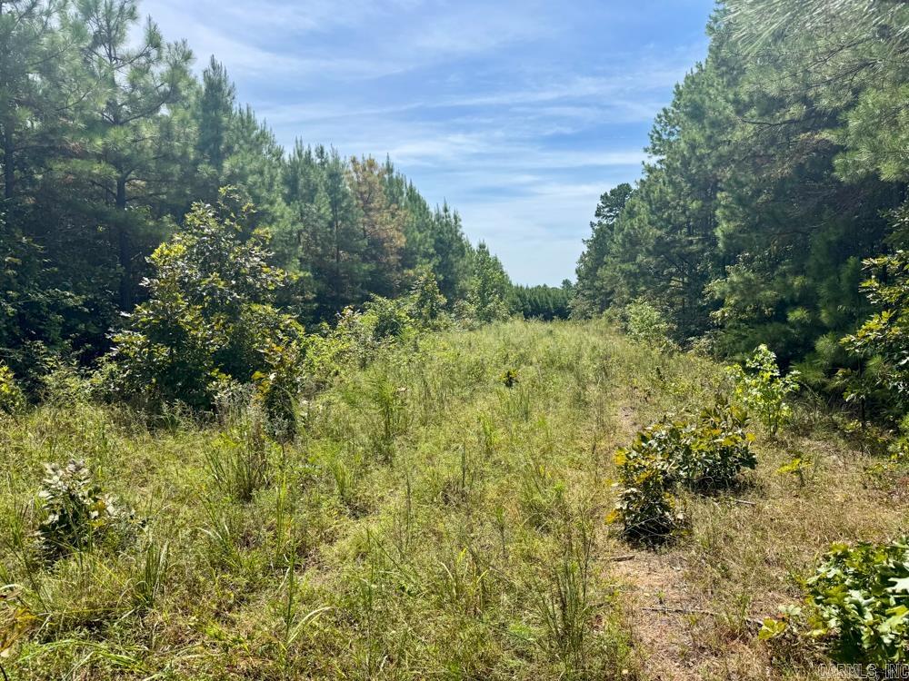 329 Foxtail  Shirley, AR