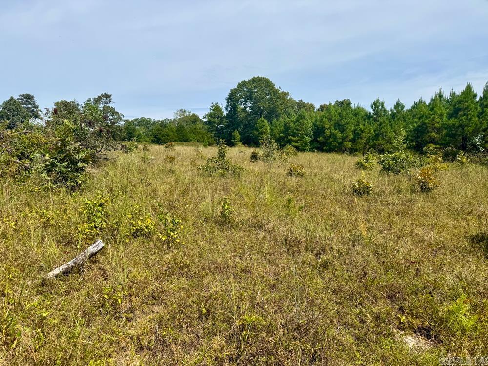 329 Foxtail  Shirley, AR