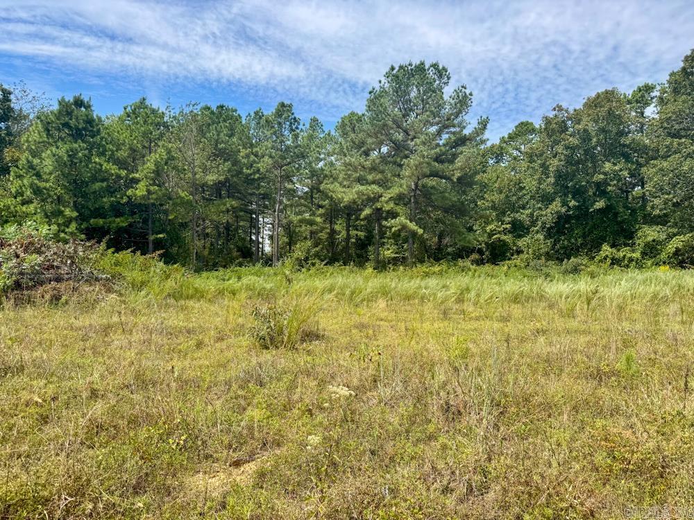 329 Foxtail  Shirley, AR