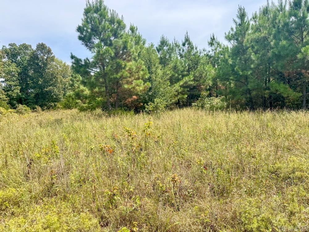 329 Foxtail  Shirley, AR
