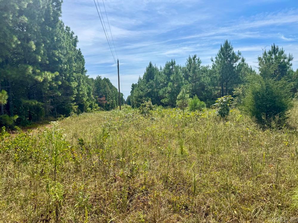329 Foxtail  Shirley, AR