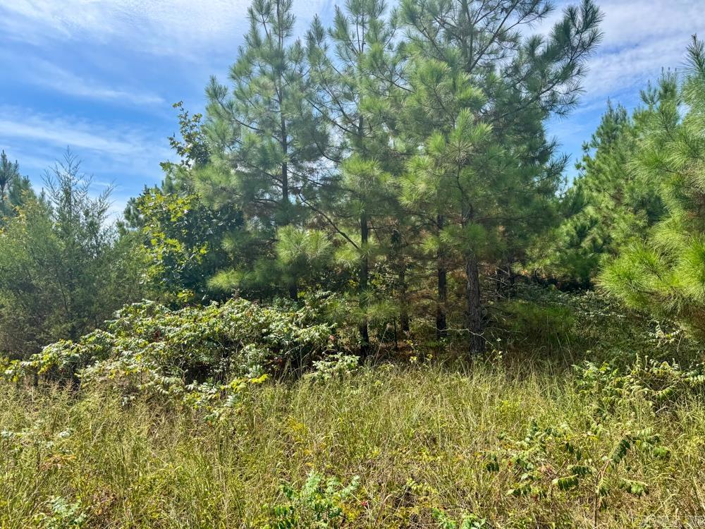 329 Foxtail  Shirley, AR