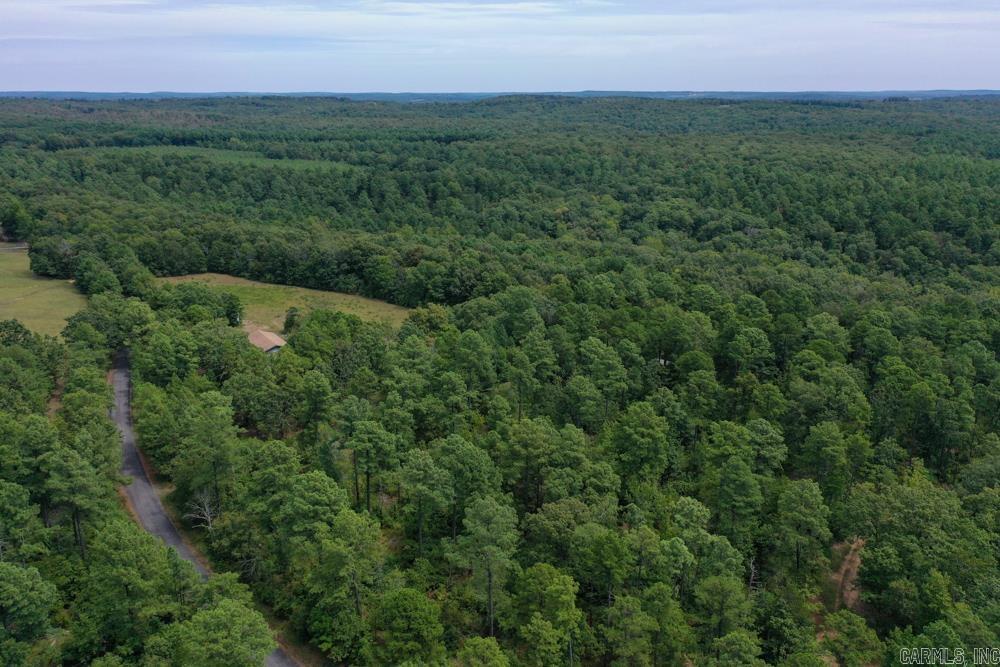 329 Foxtail  Shirley, AR