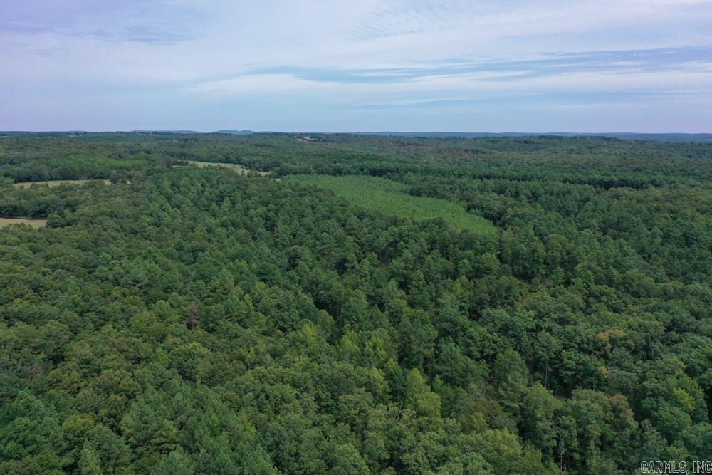 329 Foxtail  Shirley, AR