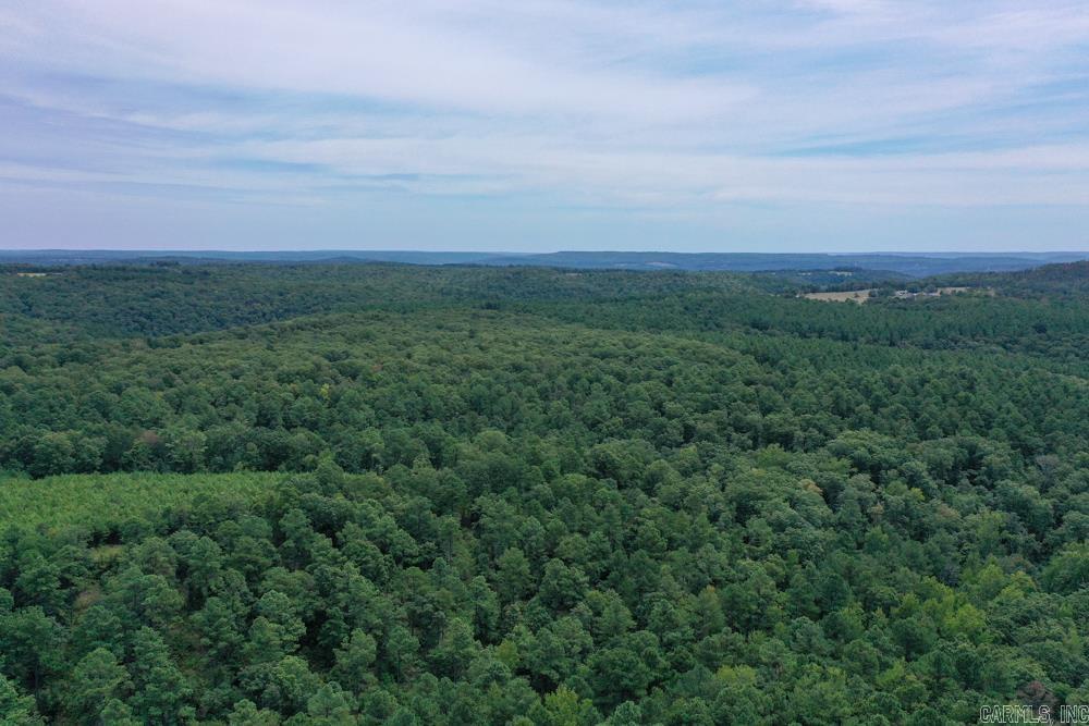 329 Foxtail  Shirley, AR