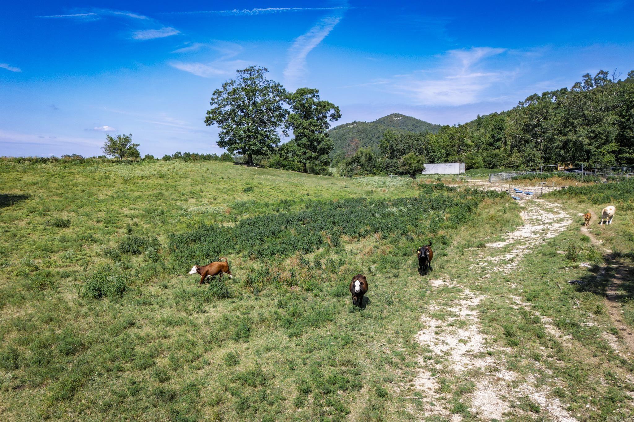 27 Duggan  Glenwood, AR