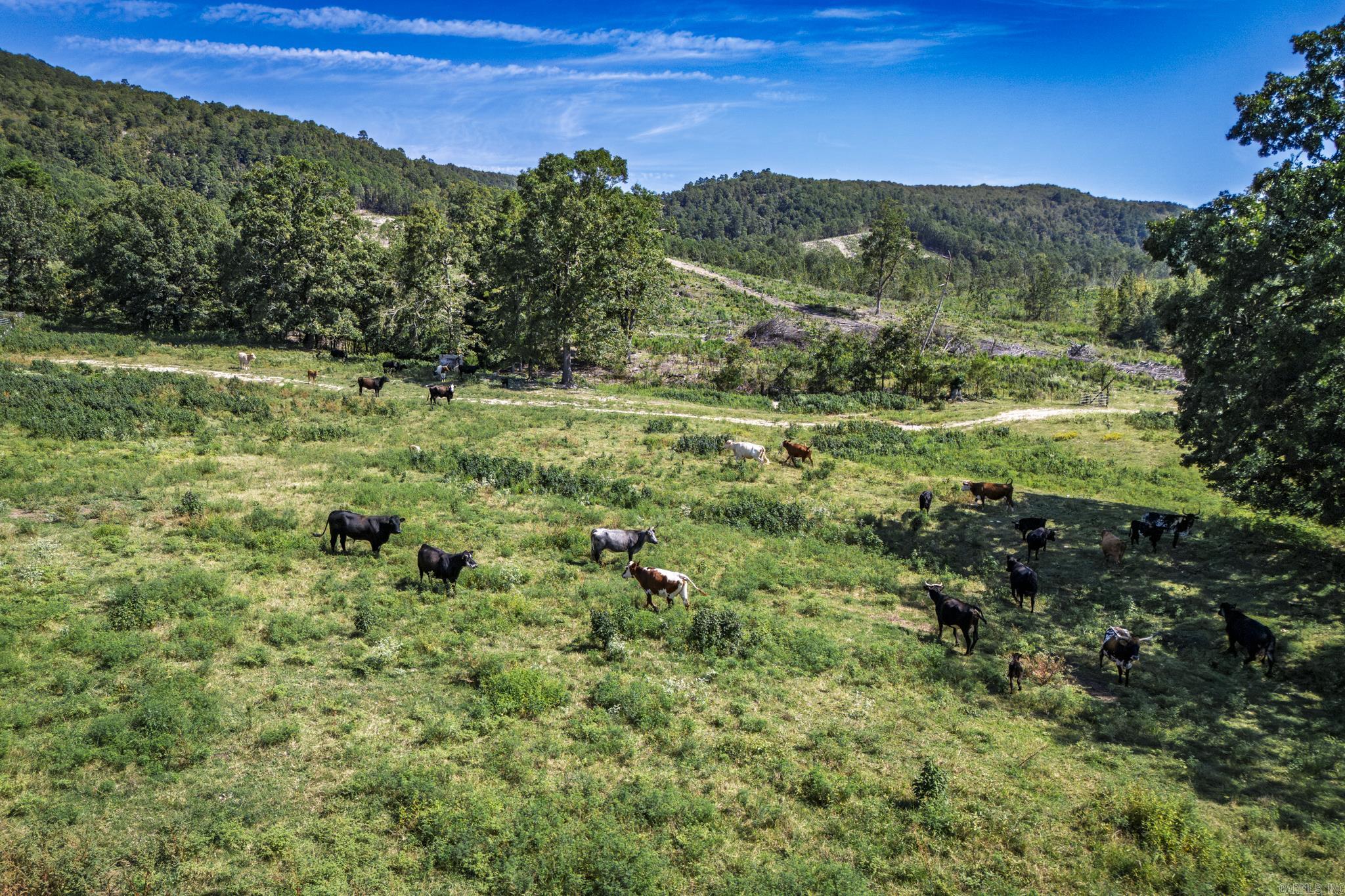27 Duggan  Glenwood, AR