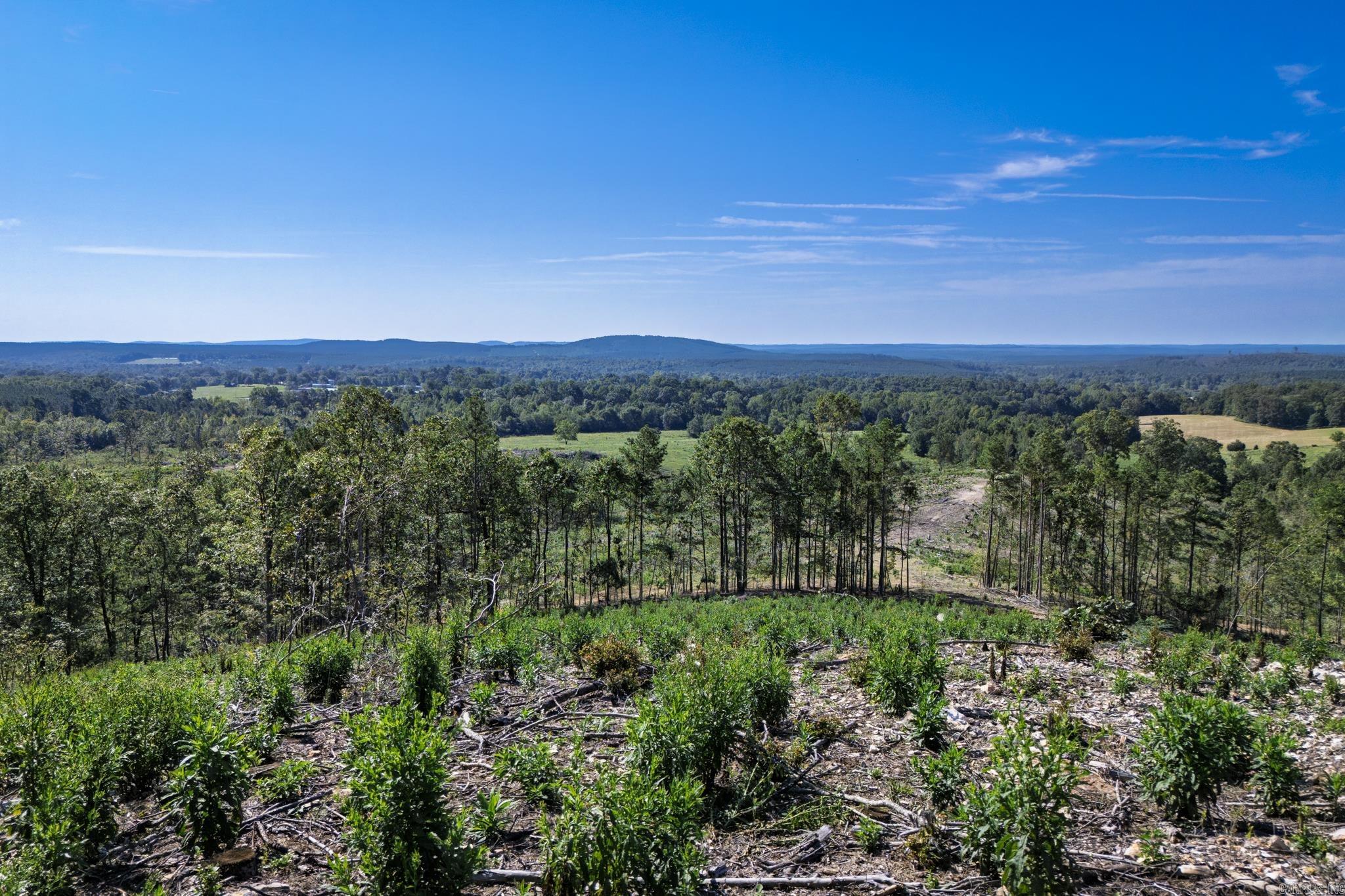 27 Duggan  Glenwood, AR