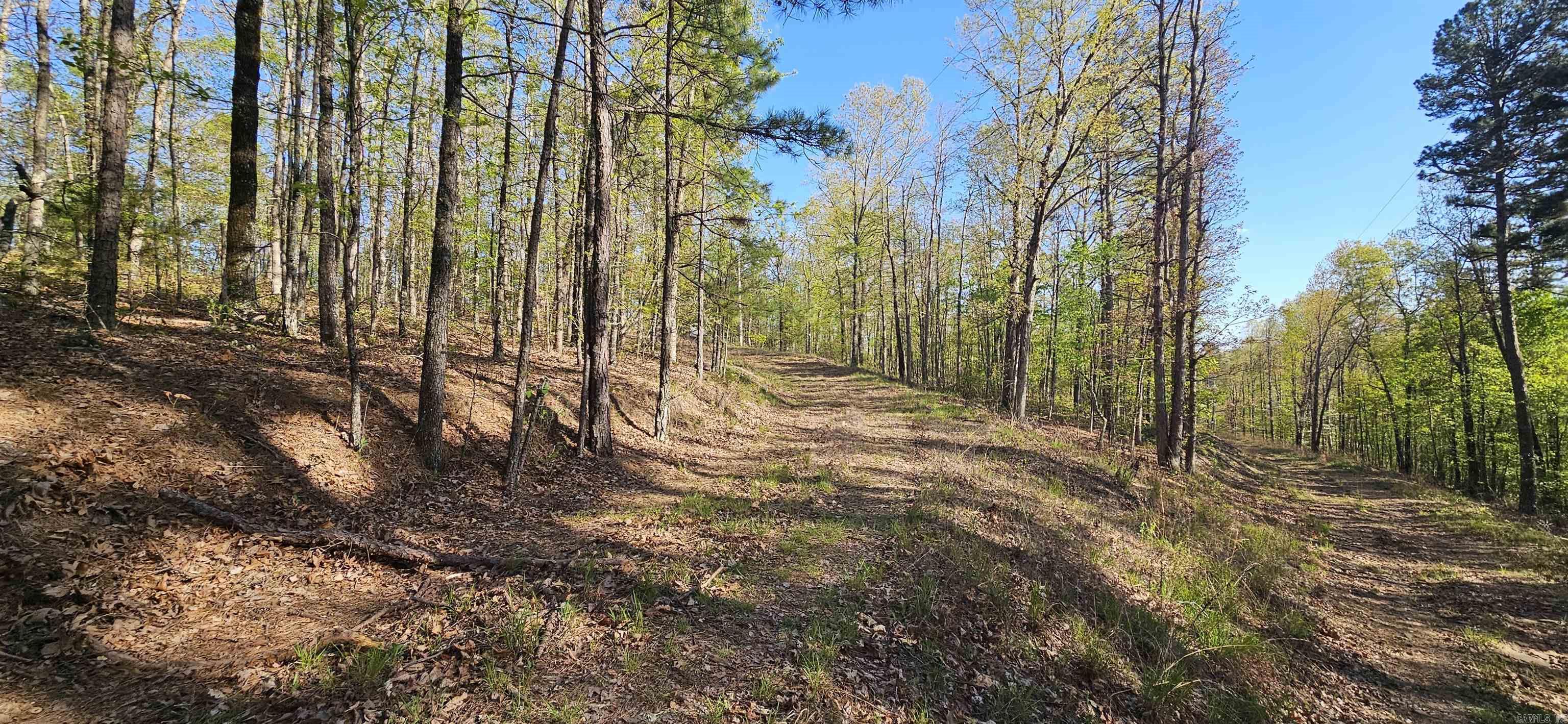 645 Chimney Rock road  Shirley, AR