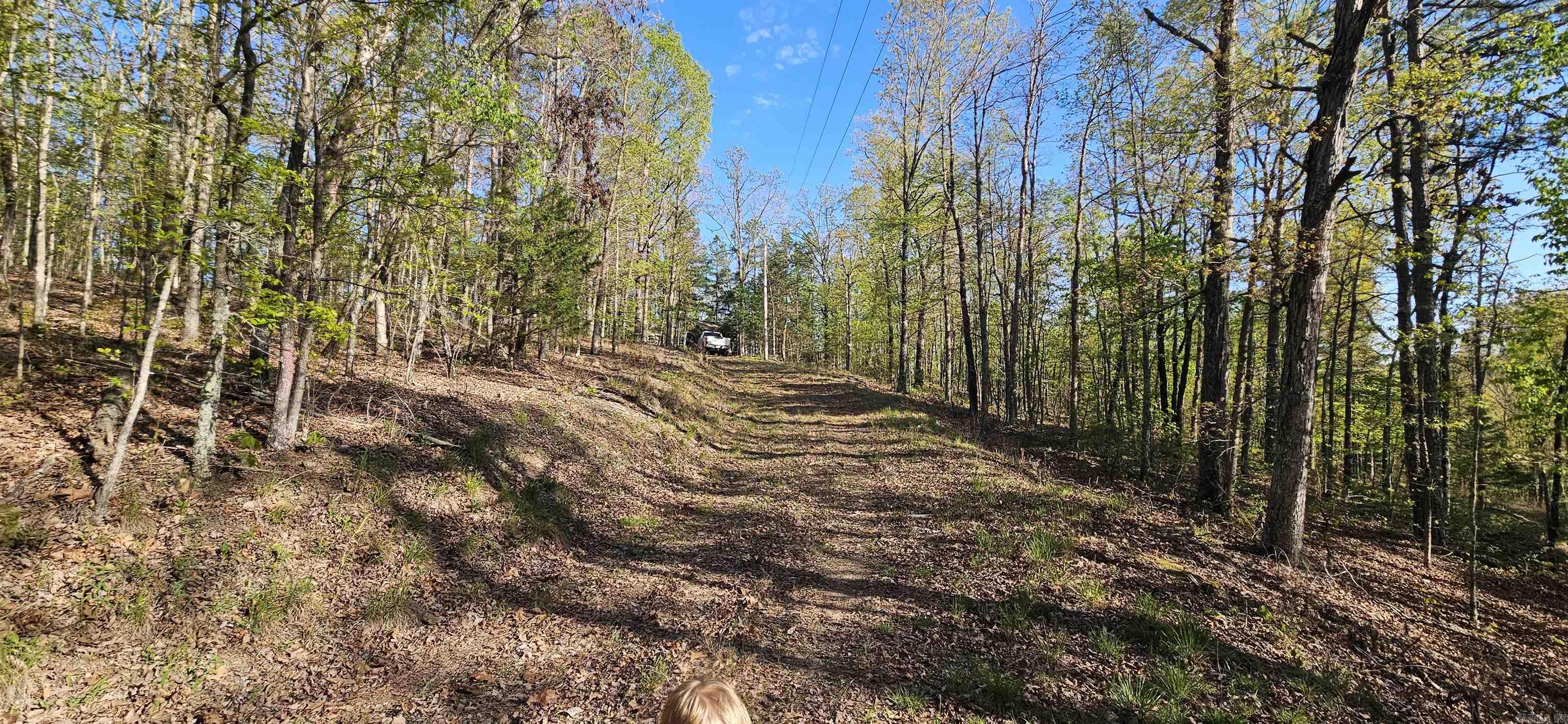 645 Chimney Rock road  Shirley, AR