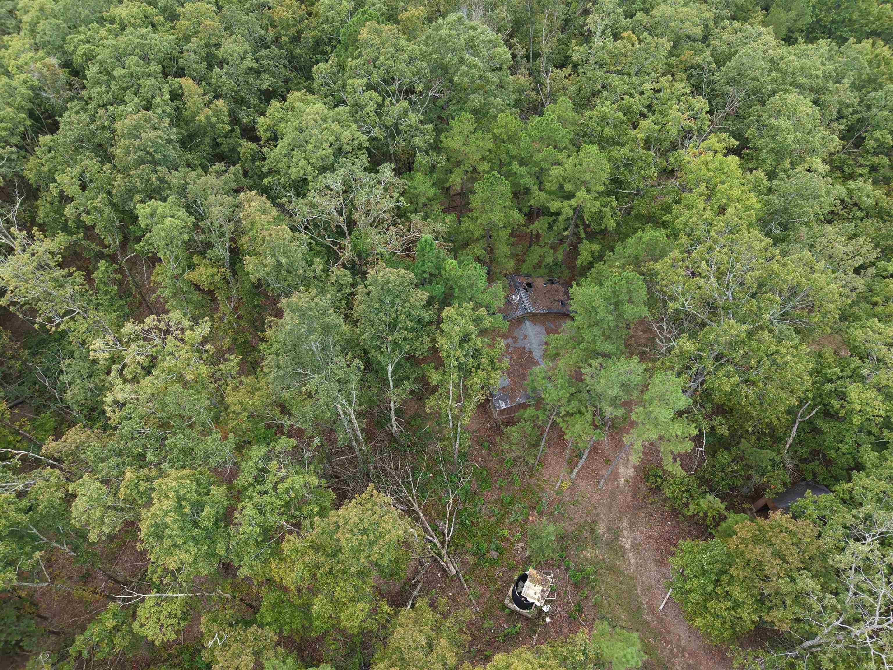 645 Chimney Rock road  Shirley, AR