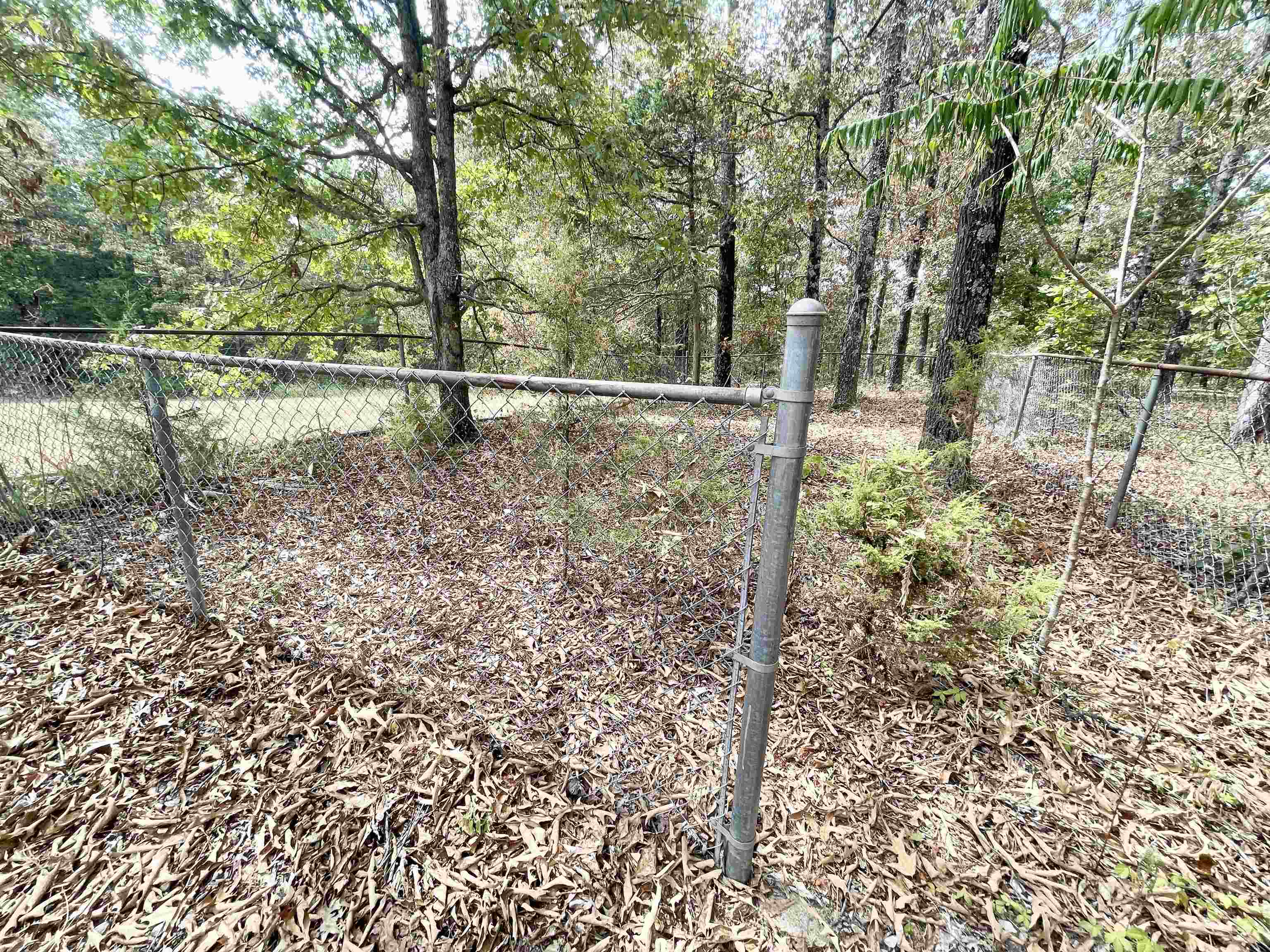 9238 Elizabeth  Viola, AR